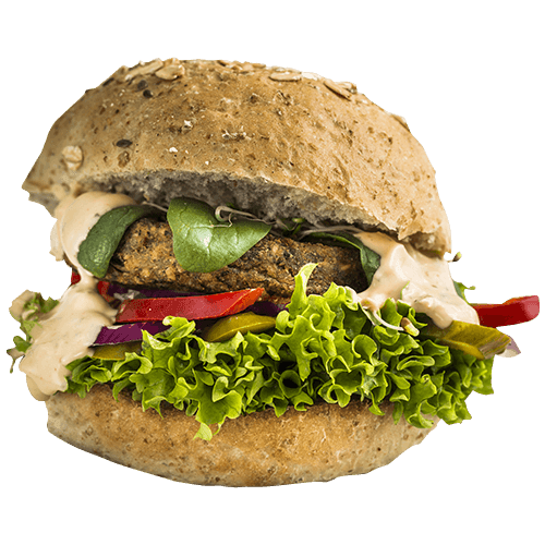 TASTE OF THE MONTH MEXICAN Burger