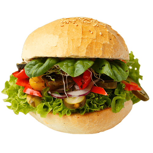 VEGGIE Burger FIT!