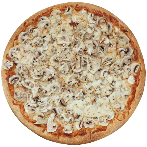 Pizza Funghi