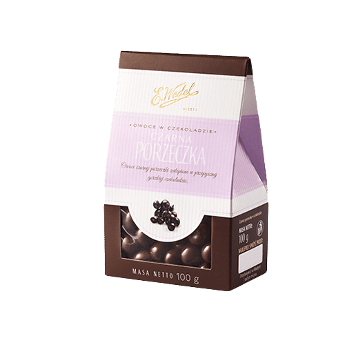Czarna porzeczka w czekoladzie 100g