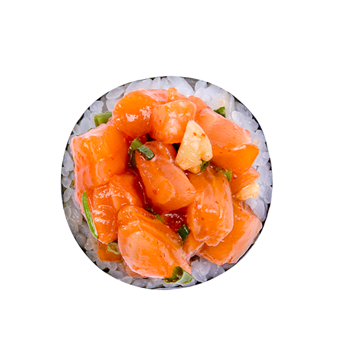 Futo Salmon Snack