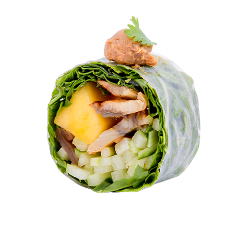 Unagi Spring