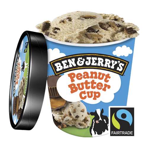 Lody Ben&Jerry's Peanut Butter 465 ml