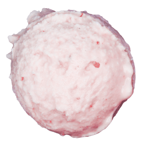 Lody o smaku róży galicyjskiej