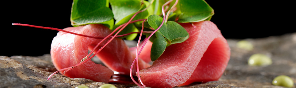 Sashimi