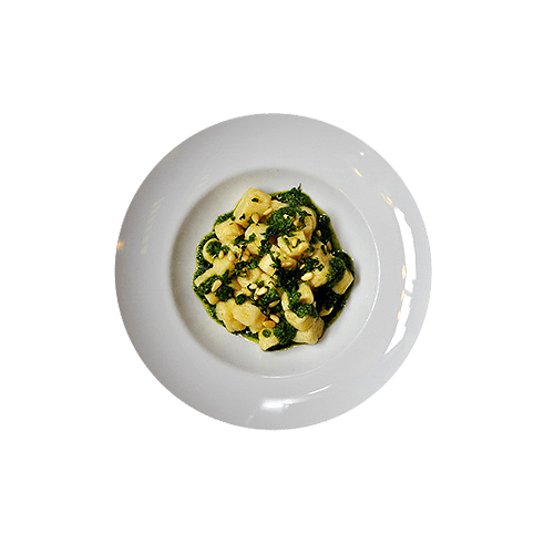Pasta Gnocchi