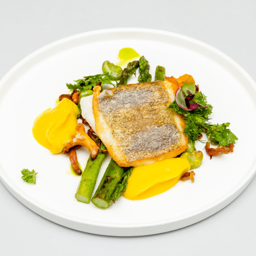 Halibut