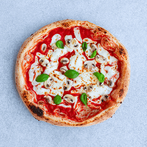 Pizza Funghi