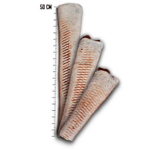 Tortilla samo mięso [mały]