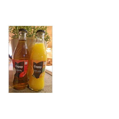Cappy (0,25l)